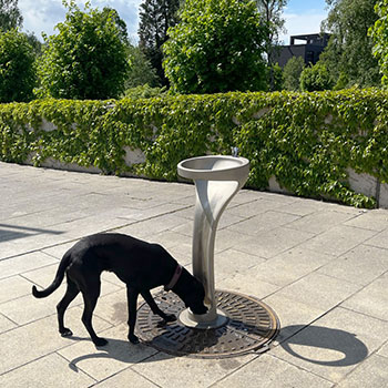 IONDESIGN TRINKBRUNNEN Hund