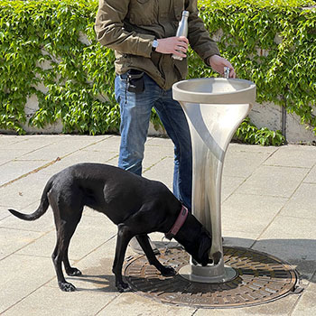 IONDESIGN TRINKBRUNNEN Flache Hund